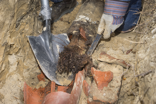 sewer-line-problems-piedmont-sc-warning-signs