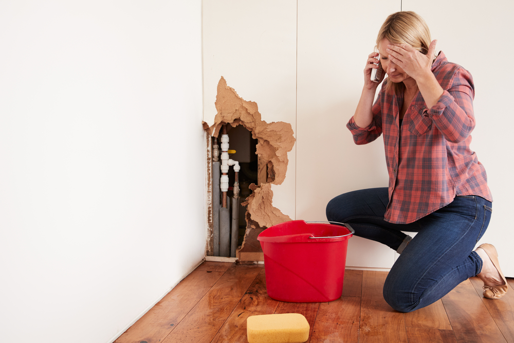 prevent-plumbing-emergencies-piedmont-sc
